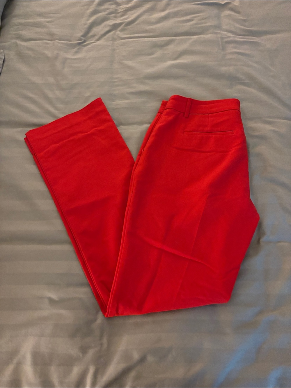 Express Red Boot-Cut Dress Pants - Picture 2 of 5